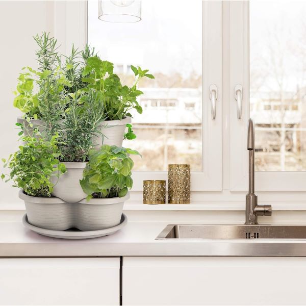 PLANTUP слика