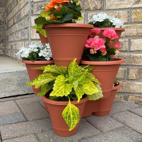 PLANTUP слика