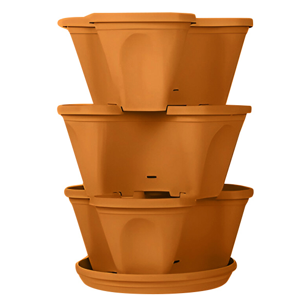PLANTUP